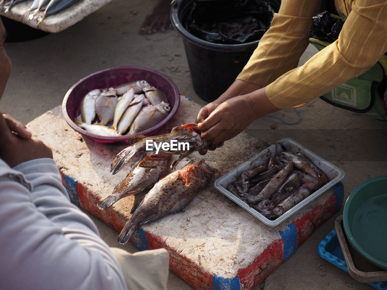 Cropped hands holding fish for sale