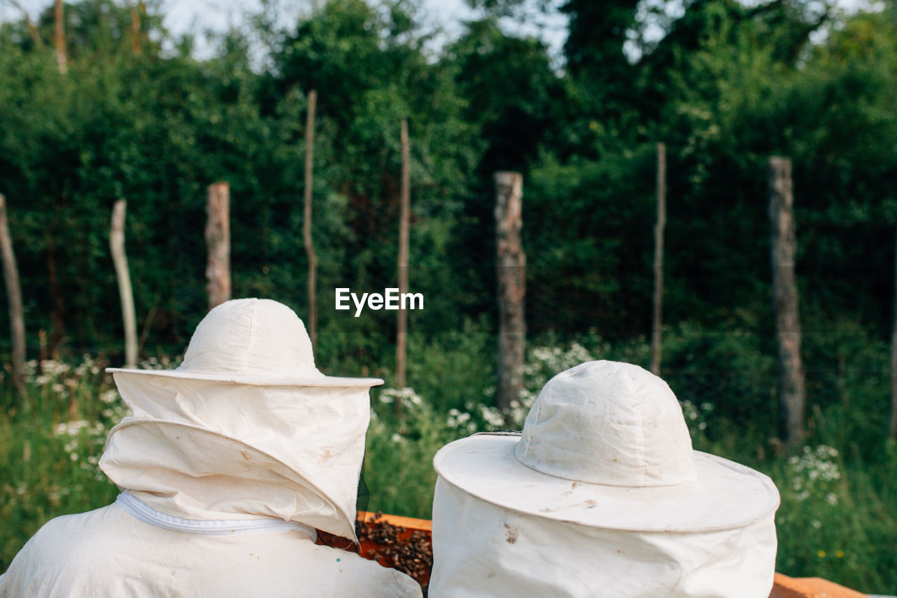 Rear view of beekeepers examining beehive