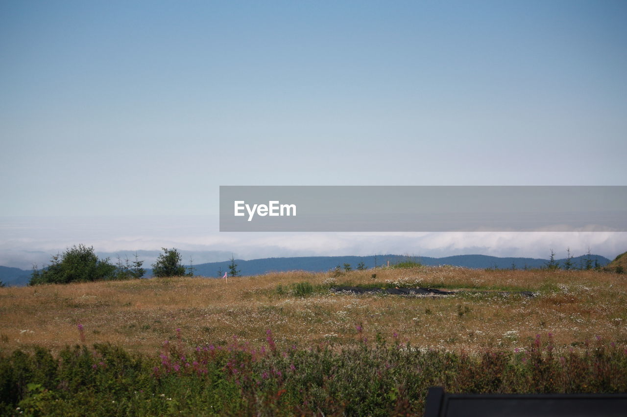 LANDSCAPE AGAINST SKY