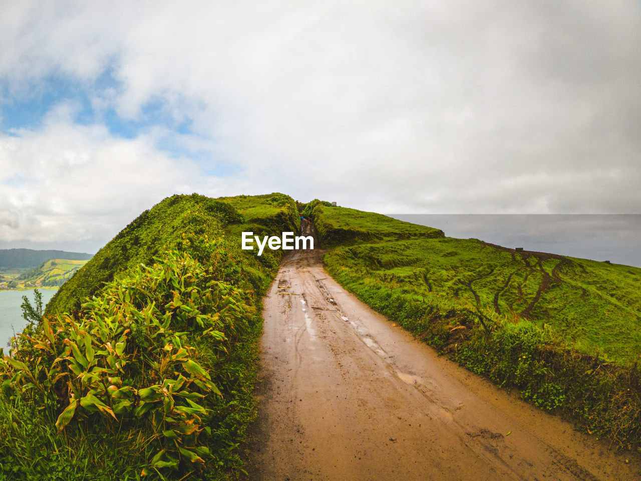 Road amidst plants and land against sky