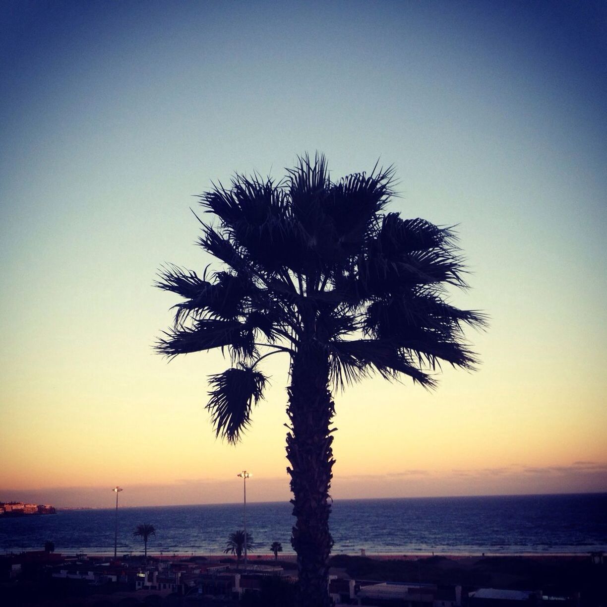 Silhouette palm tree against calm sea