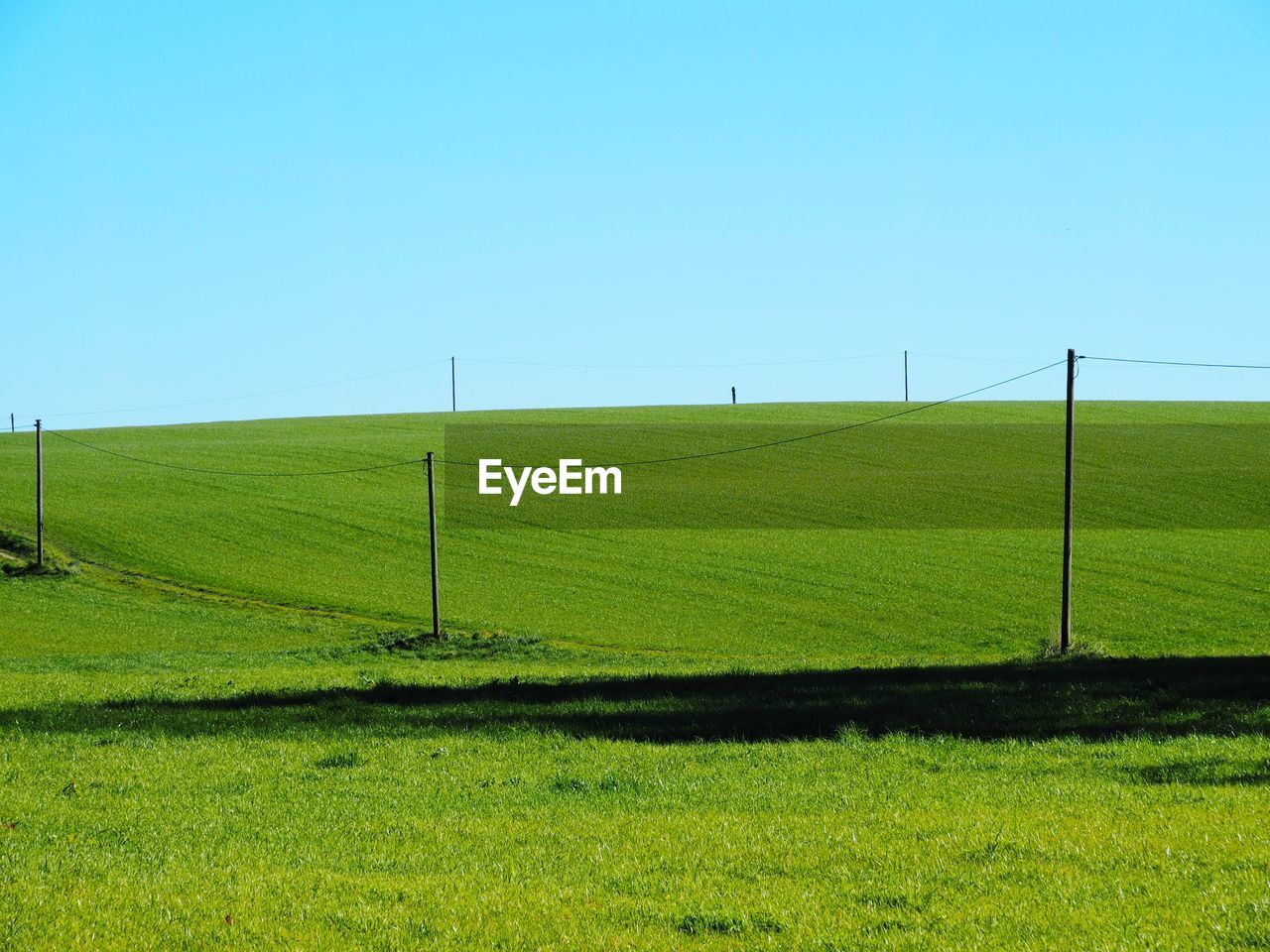 Scenic view of field against clear sky