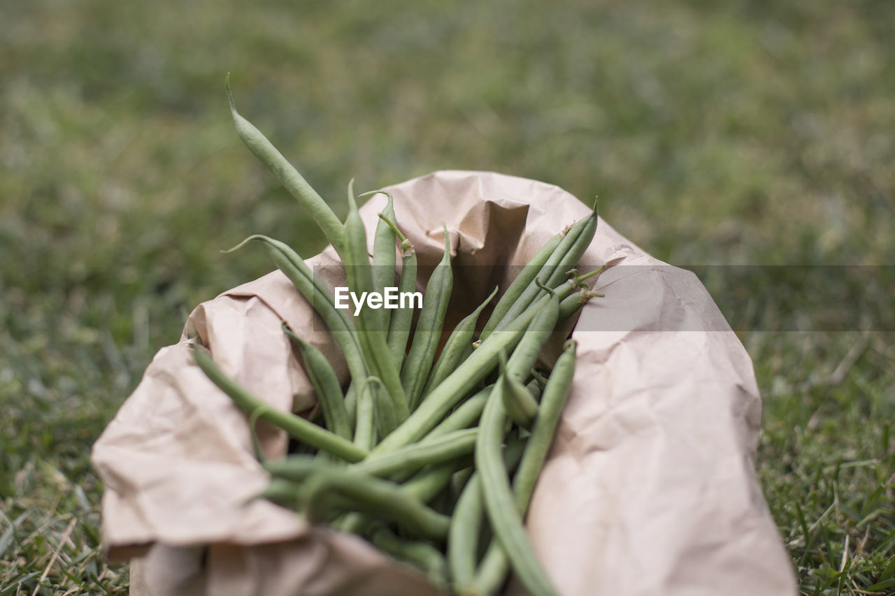 Close-up of vegetables on a paper bag