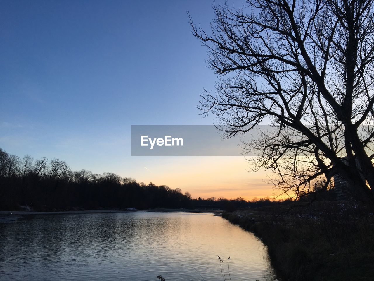 SILHOUETTE BARE TREE BY LAKE AGAINST SKY DURING SUNSET