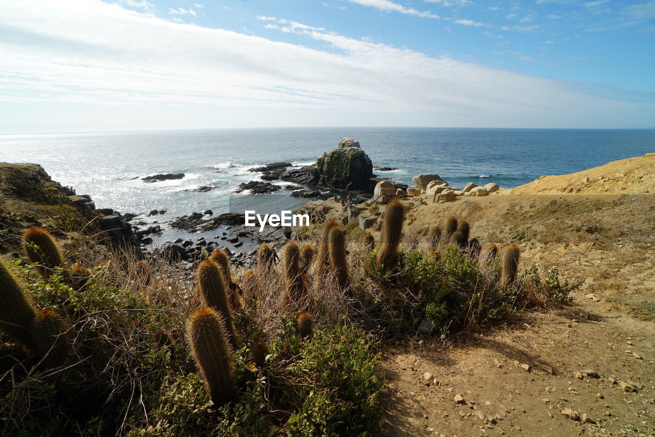 PANORAMIC SHOT OF SEA AGAINST SKY