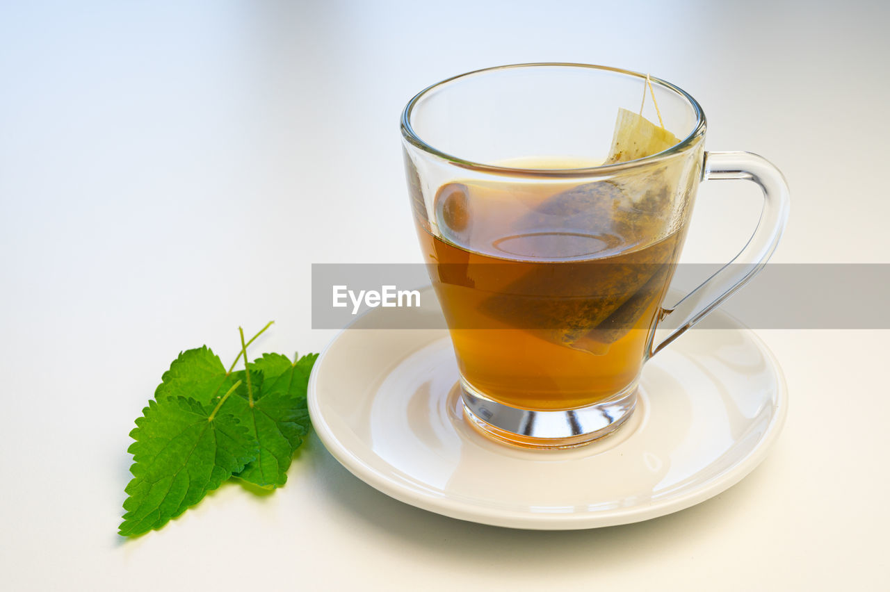 Nettle infusion in transparent cup, a sachet in water, a white saucer  and nettle leaves. 