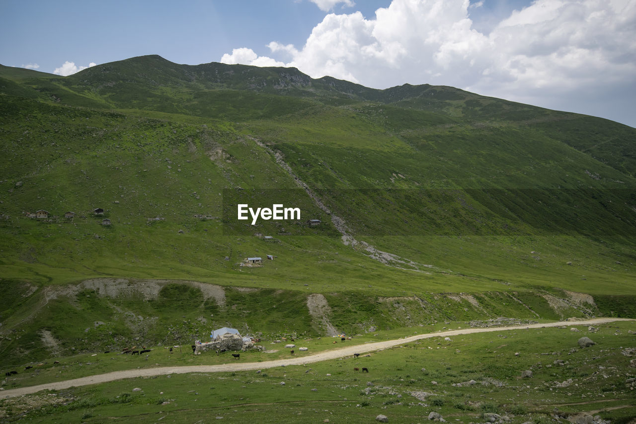 SCENIC VIEW OF LAND AGAINST SKY