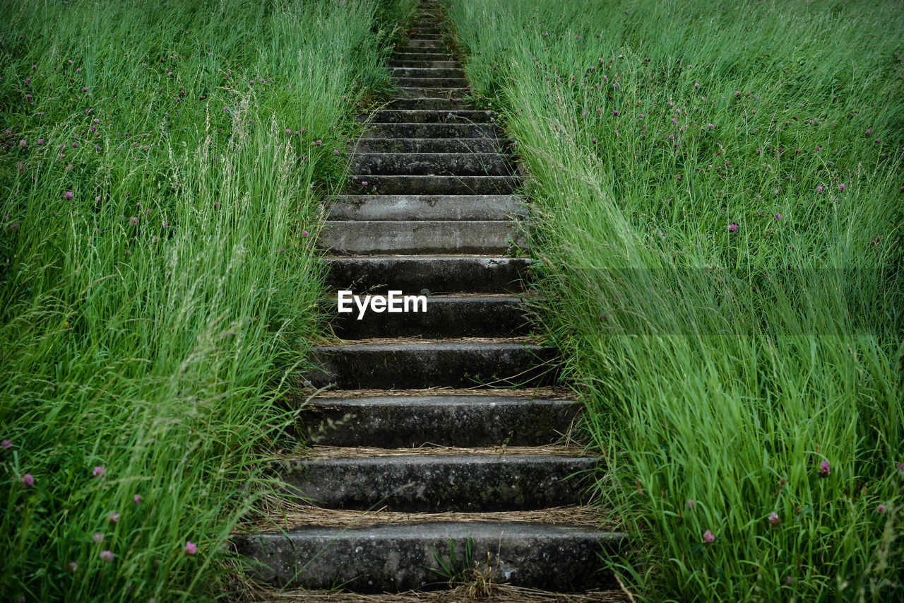 Steps on agricultural field