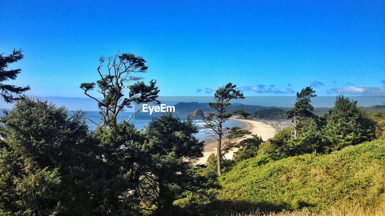 Scenic view of green landscape and trees against blue sky