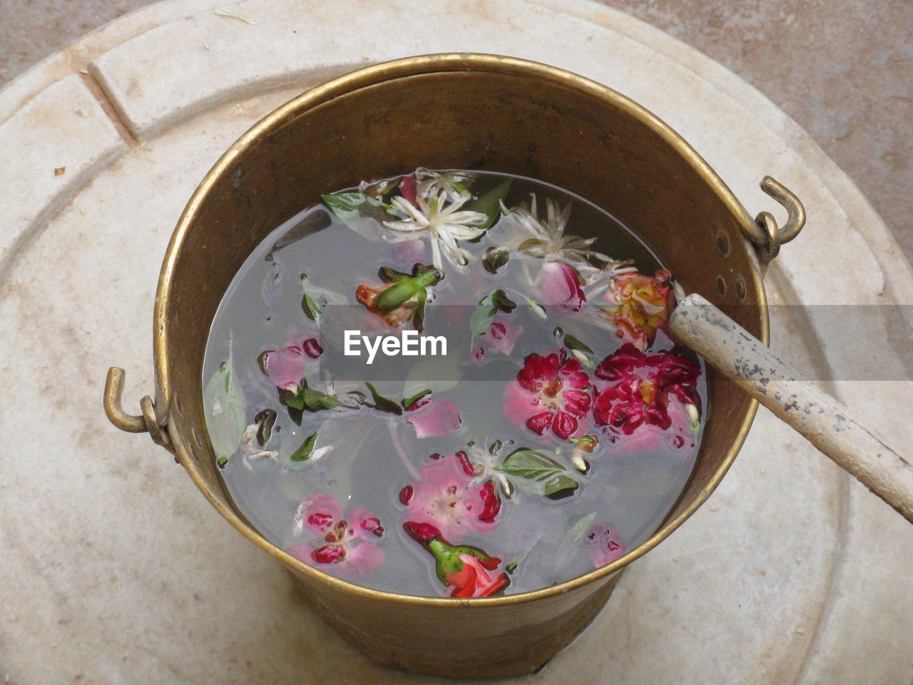 High angle view of flowers in bucket