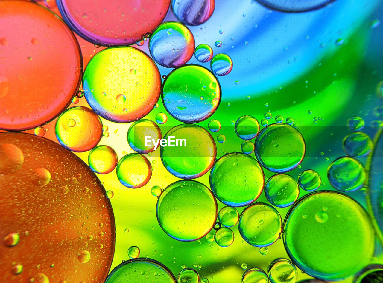 Colorful bubbles abstract background, oil bubbles in transparent liquid backdrop