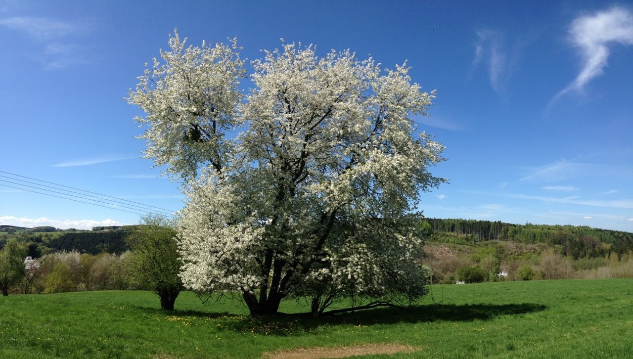 SCENIC VIEW OF LANDSCAPE AGAINST BLUE SKY