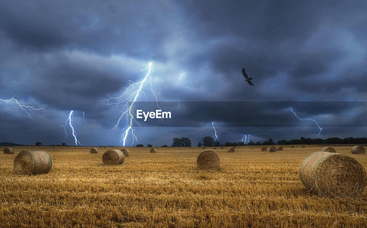 Hay bales on the field during a lightning storm. agricultural field with straw bales and lightning.