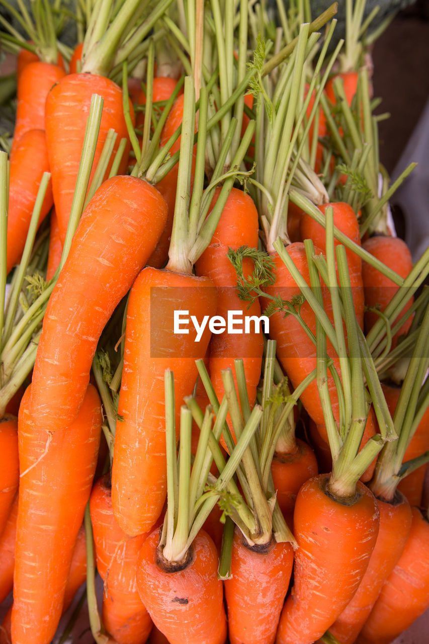 High angle view of fresh carrots for sale in container