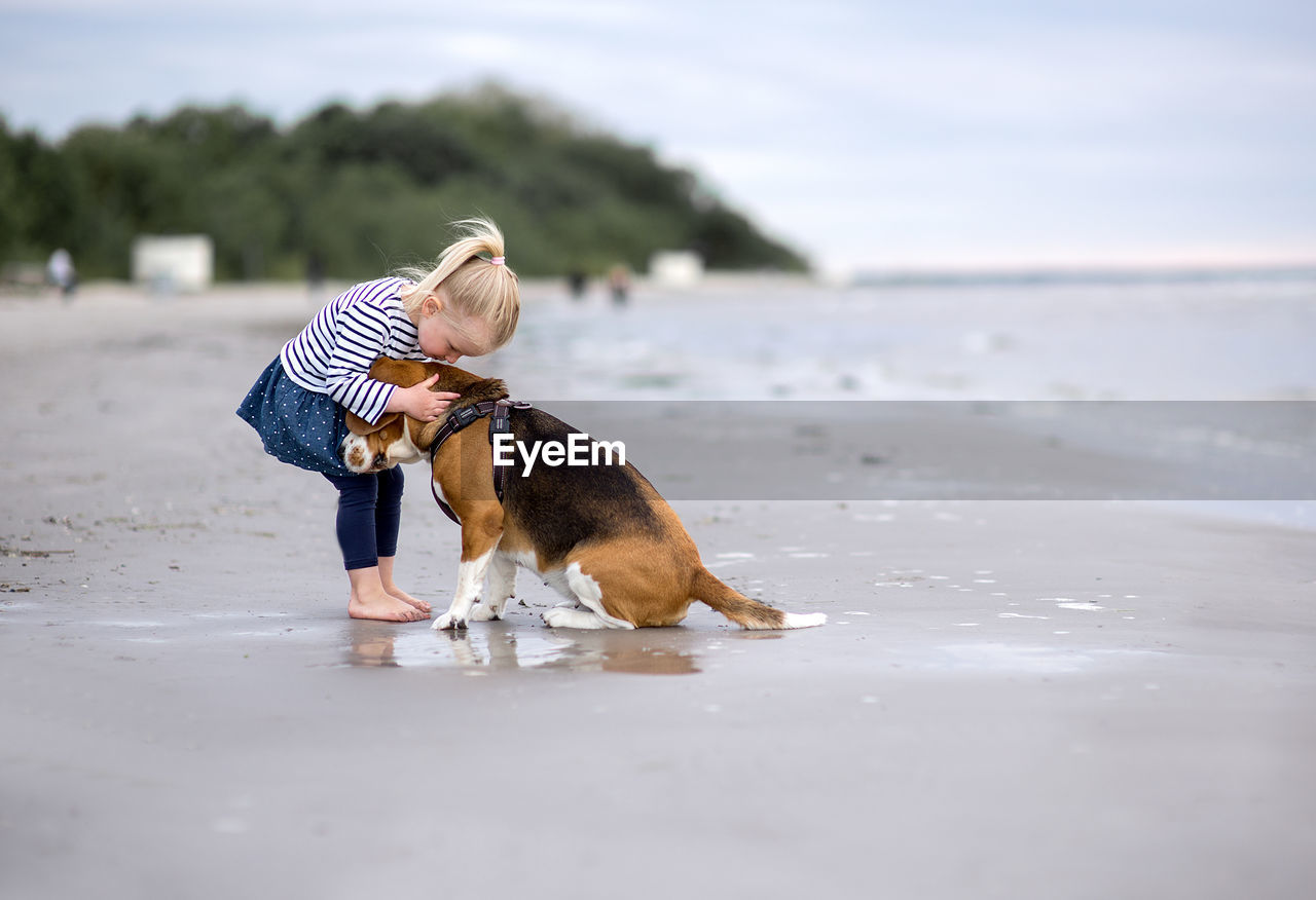 Girl and beagle on shore at beach