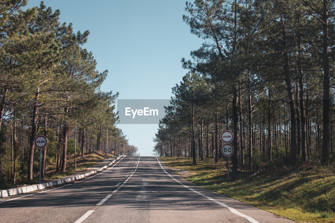 EMPTY ROAD ALONG TREES AND PLANTS AGAINST SKY