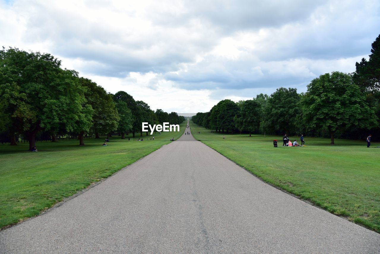 ROAD AMIDST TREES AND PLANTS AGAINST SKY