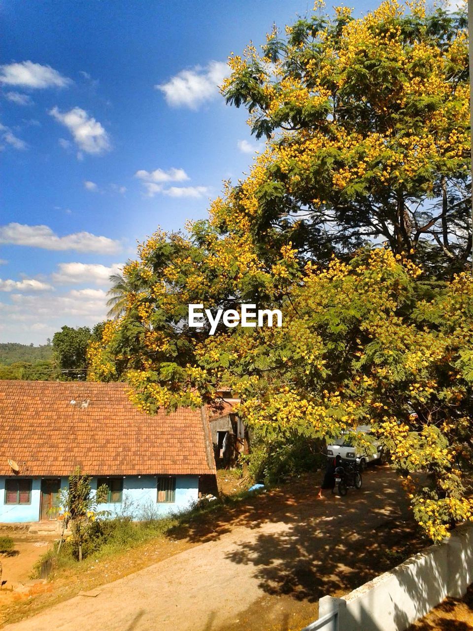 VIEW OF TREES AND BUILDING