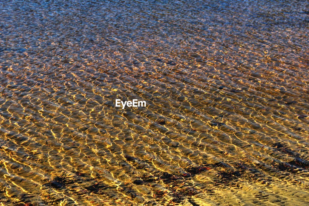 FULL FRAME SHOT OF SEA SHORE