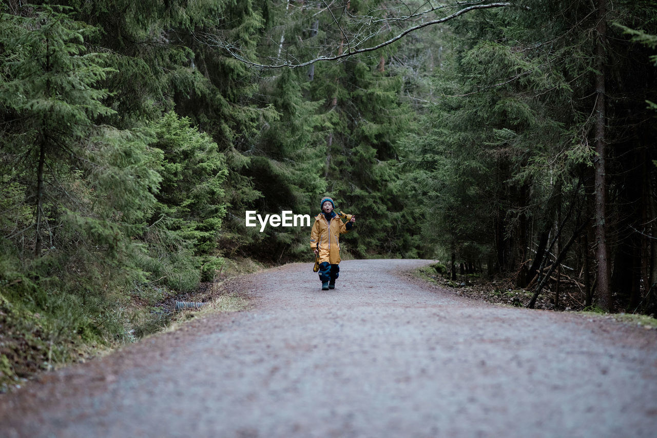 Young boy walking through a tall forest playing and singing to himself