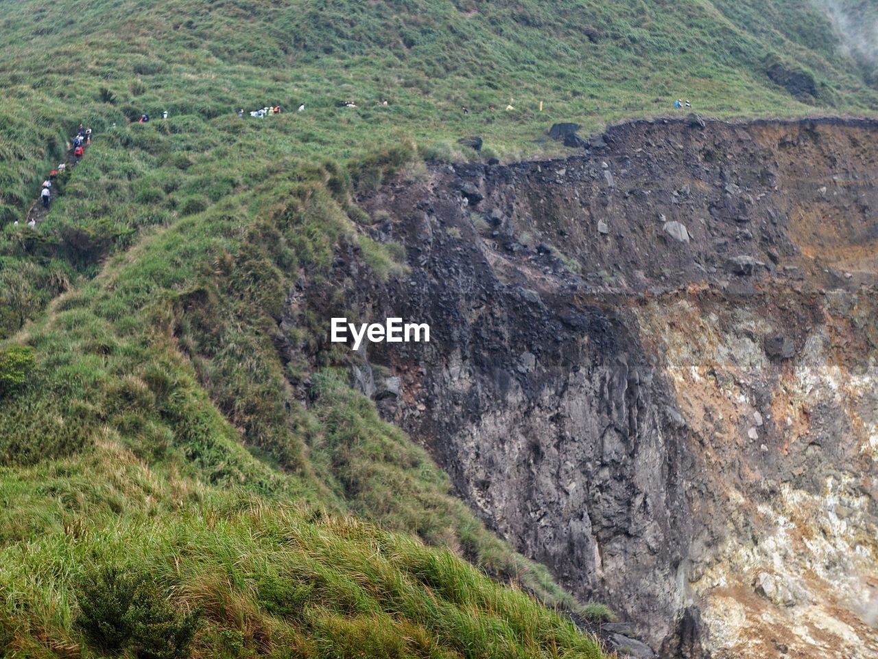 HIGH ANGLE VIEW OF RICE FIELD