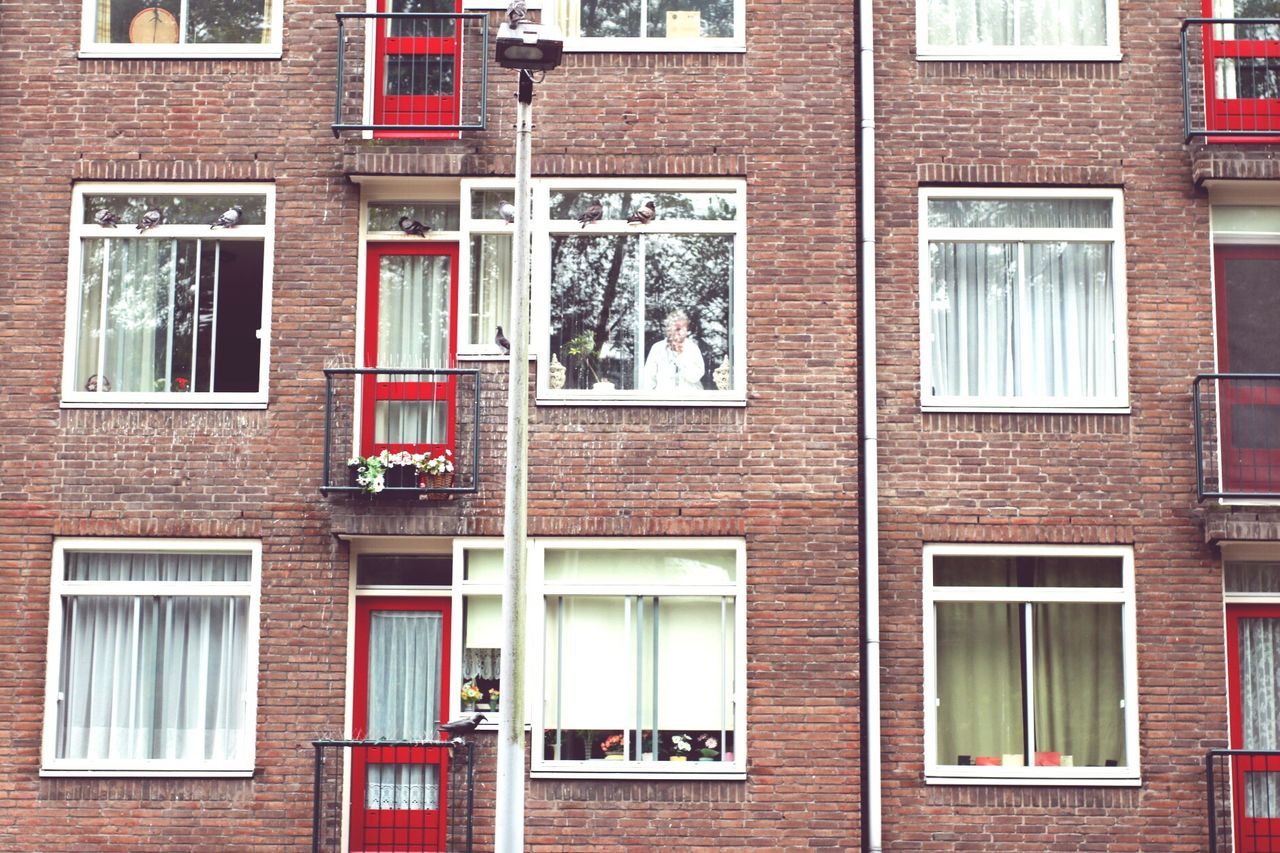 FULL FRAME SHOT OF BUILDING WITH WINDOWS