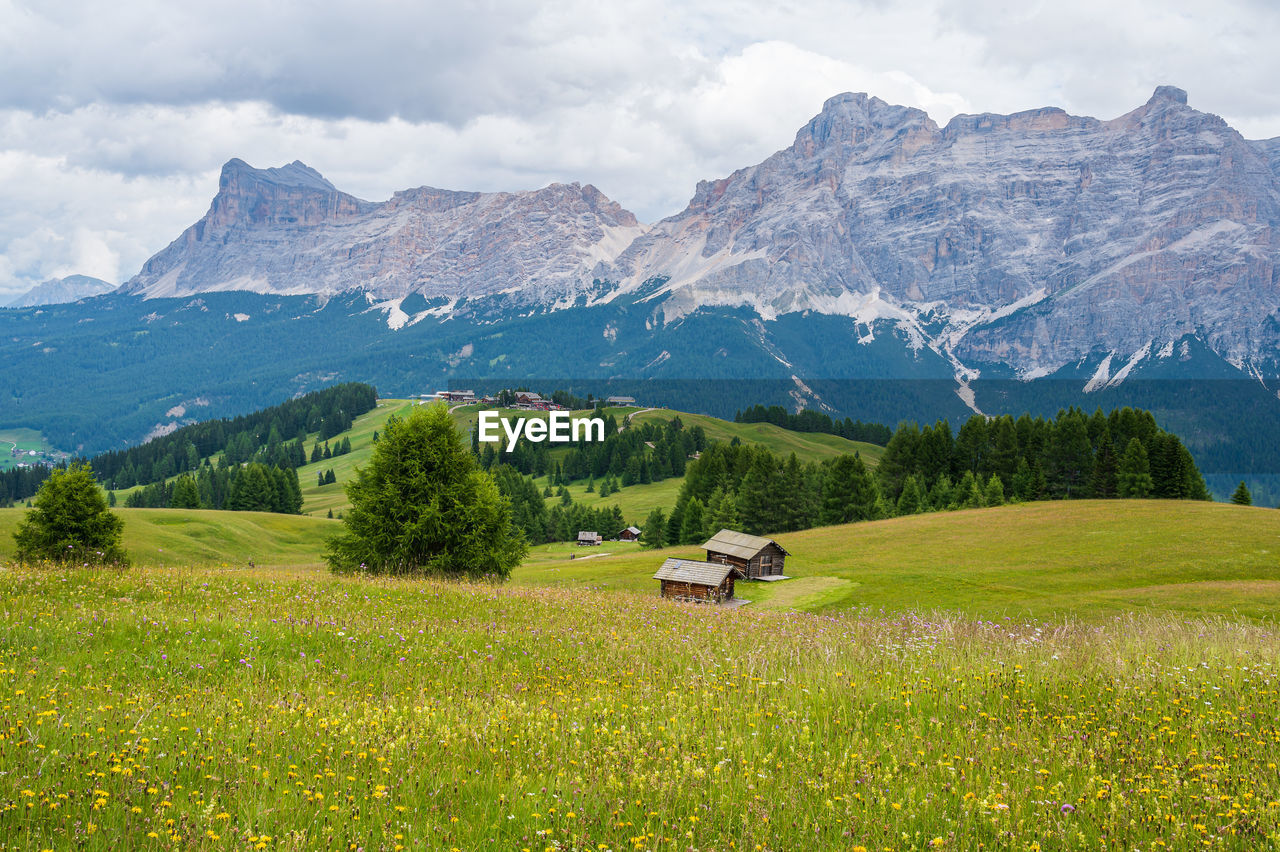 scenic view of field against mountain