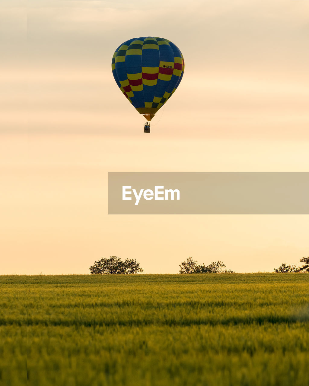 Hot air balloons flying over field against sky during sunset