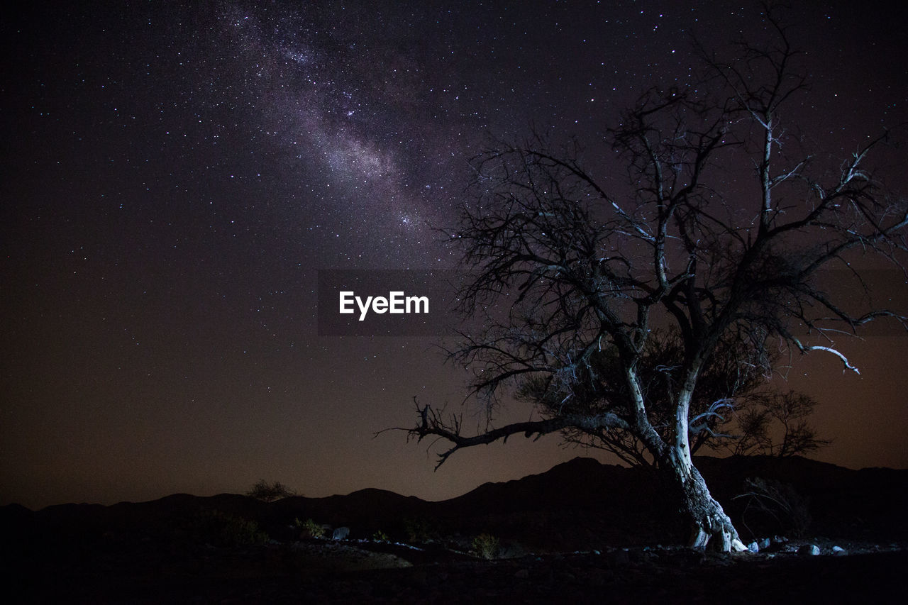 Low angle view of silhouette tree against sky at night