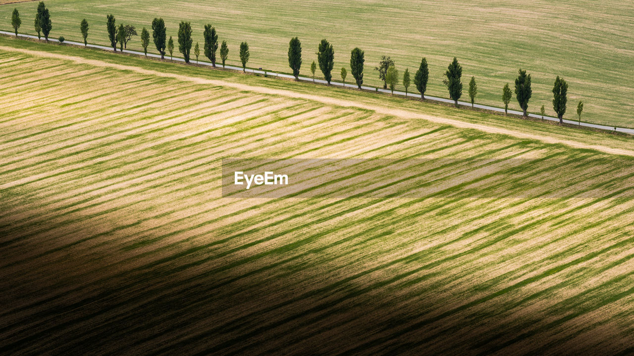 High angle view of agricultural field