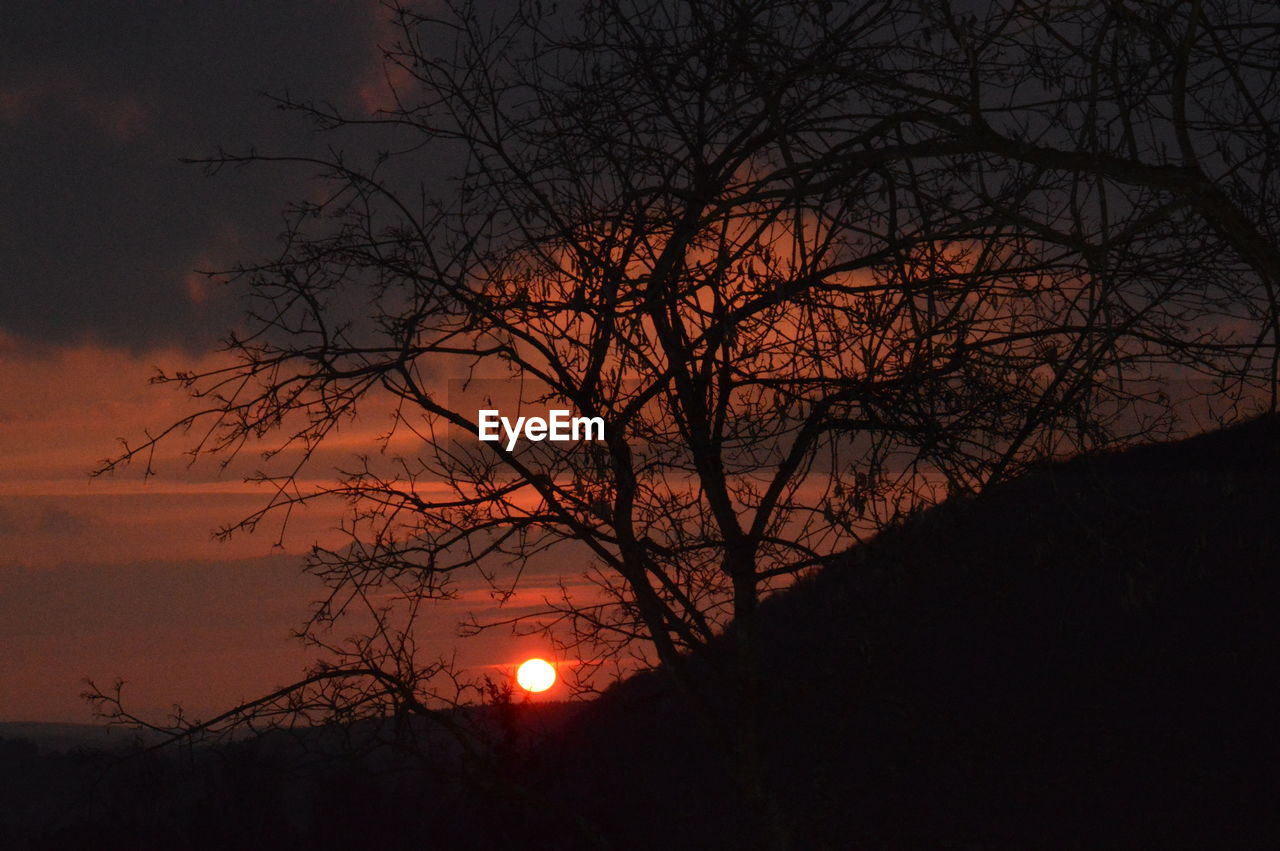 Low angle view of orange sky during sunset