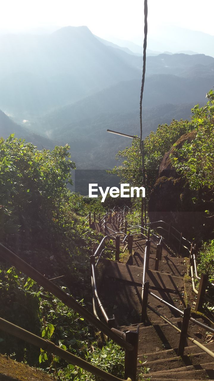 PLANTS AND TREES AGAINST MOUNTAINS