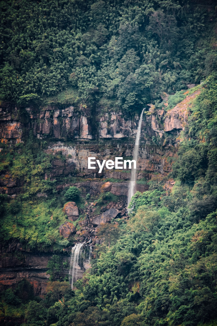 View of waterfall in forest