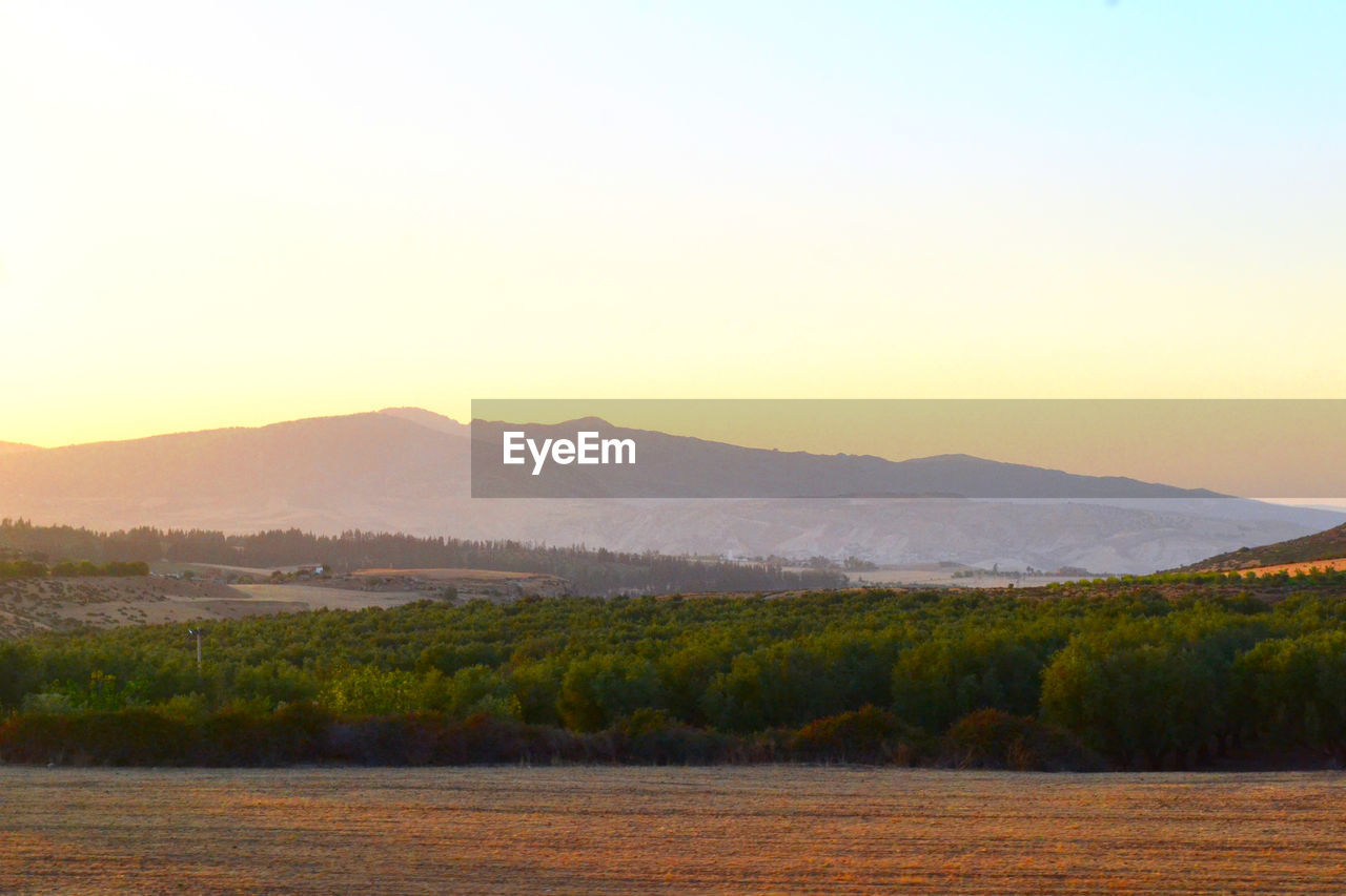 SCENIC VIEW OF AGRICULTURAL FIELD AGAINST SKY AT SUNSET