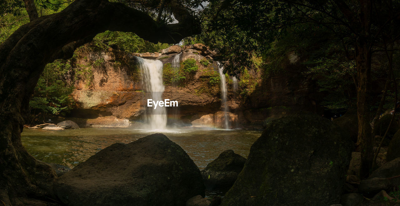 Scenic view of waterfall in forest