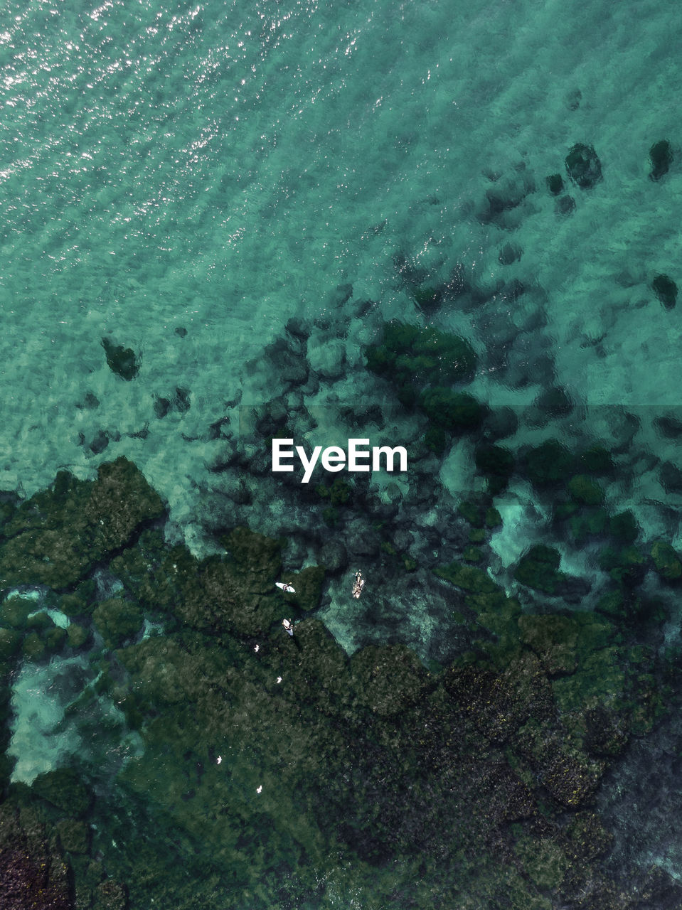  high angle view of a calm ocean bed