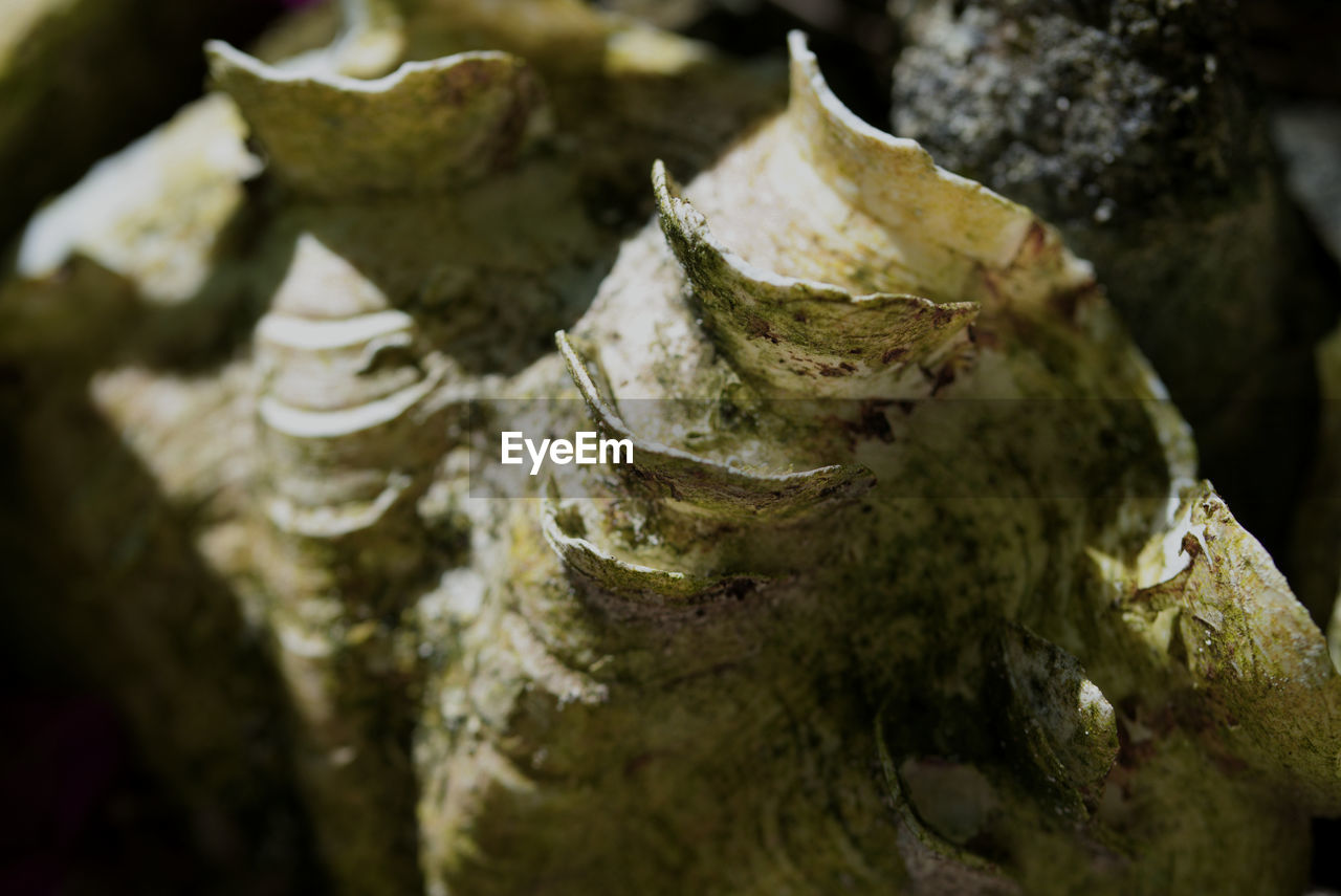 CLOSE-UP OF ROCKS ON ROCK