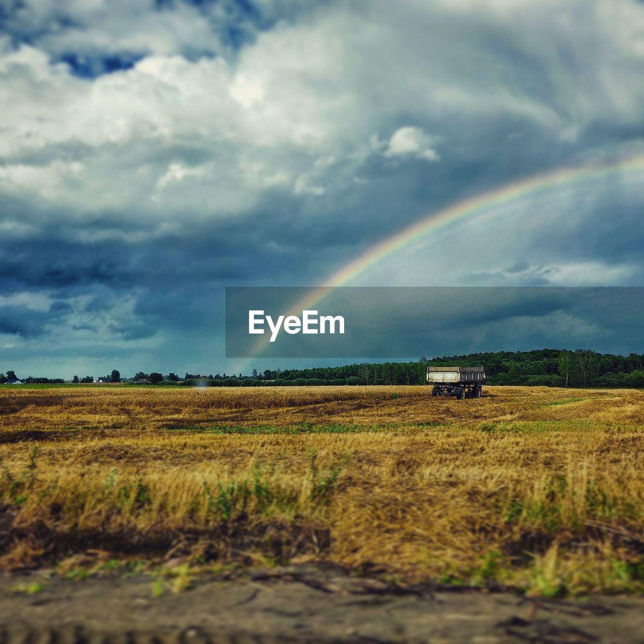 SCENIC VIEW OF RAINBOW OVER FIELD