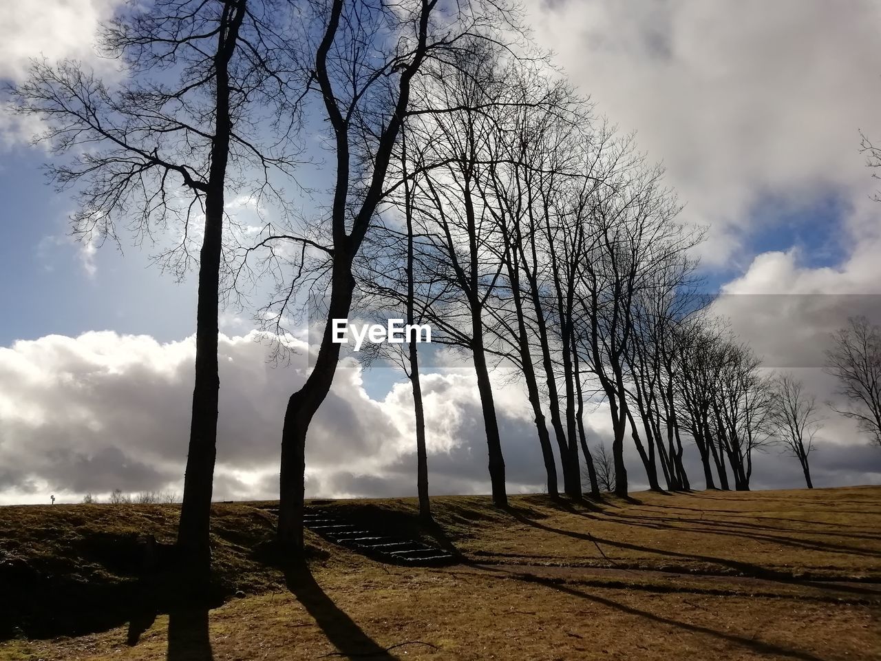 BARE TREES ON LANDSCAPE AGAINST SKY