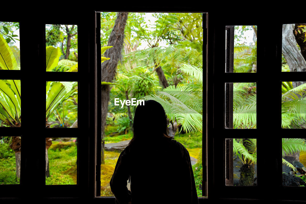 REAR VIEW OF WOMAN LOOKING THROUGH WINDOW IN TREE