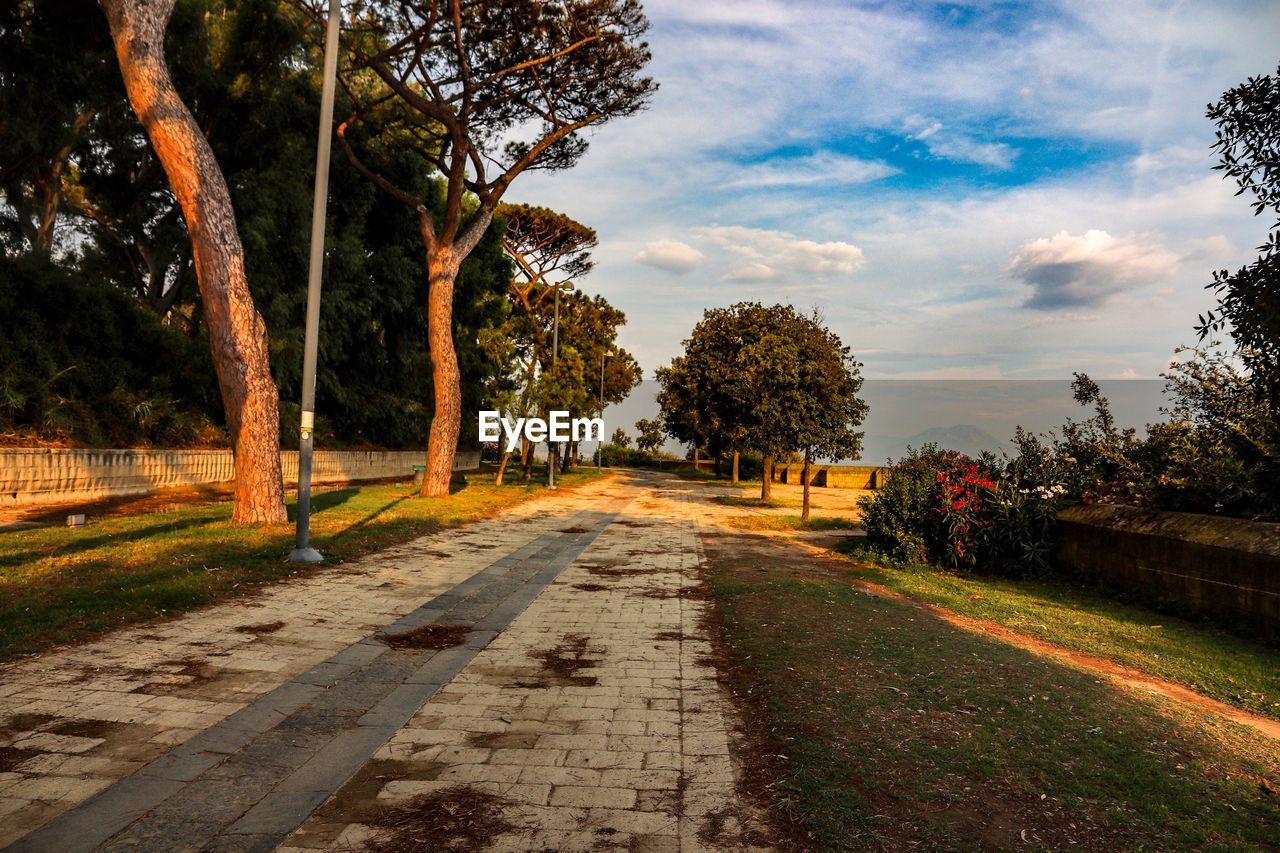 FOOTPATH AMIDST TREES IN PARK