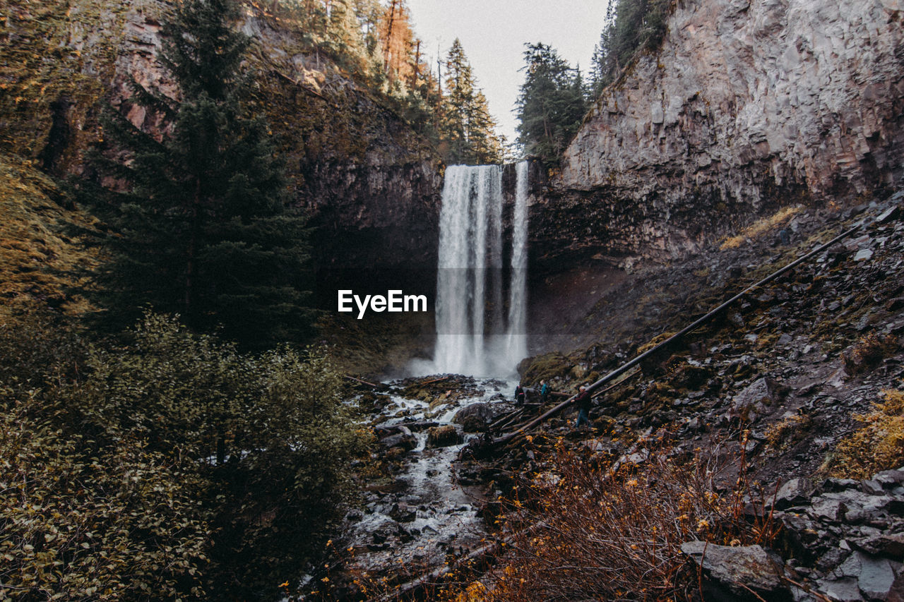 SCENIC VIEW OF WATERFALL IN FOREST