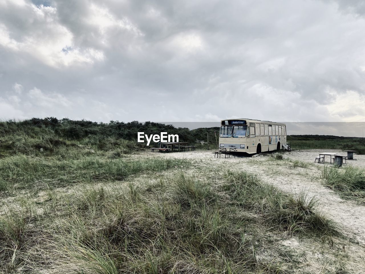 VIEW OF TRAIN ON FIELD