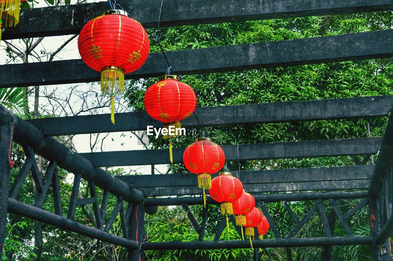 Low angle view of lanterns hanging against tree