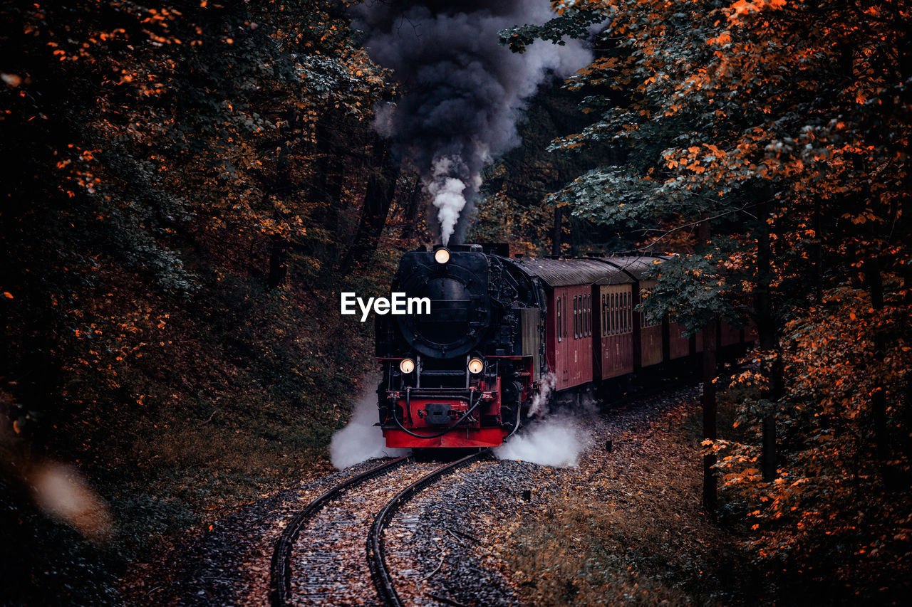 Steam locomotive amidst trees in forest