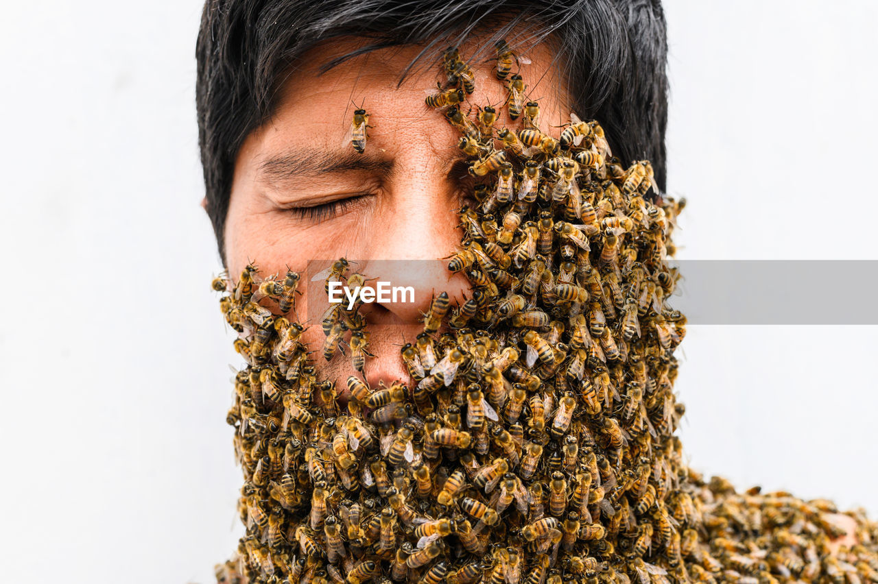 Close-up of man face with bees on it