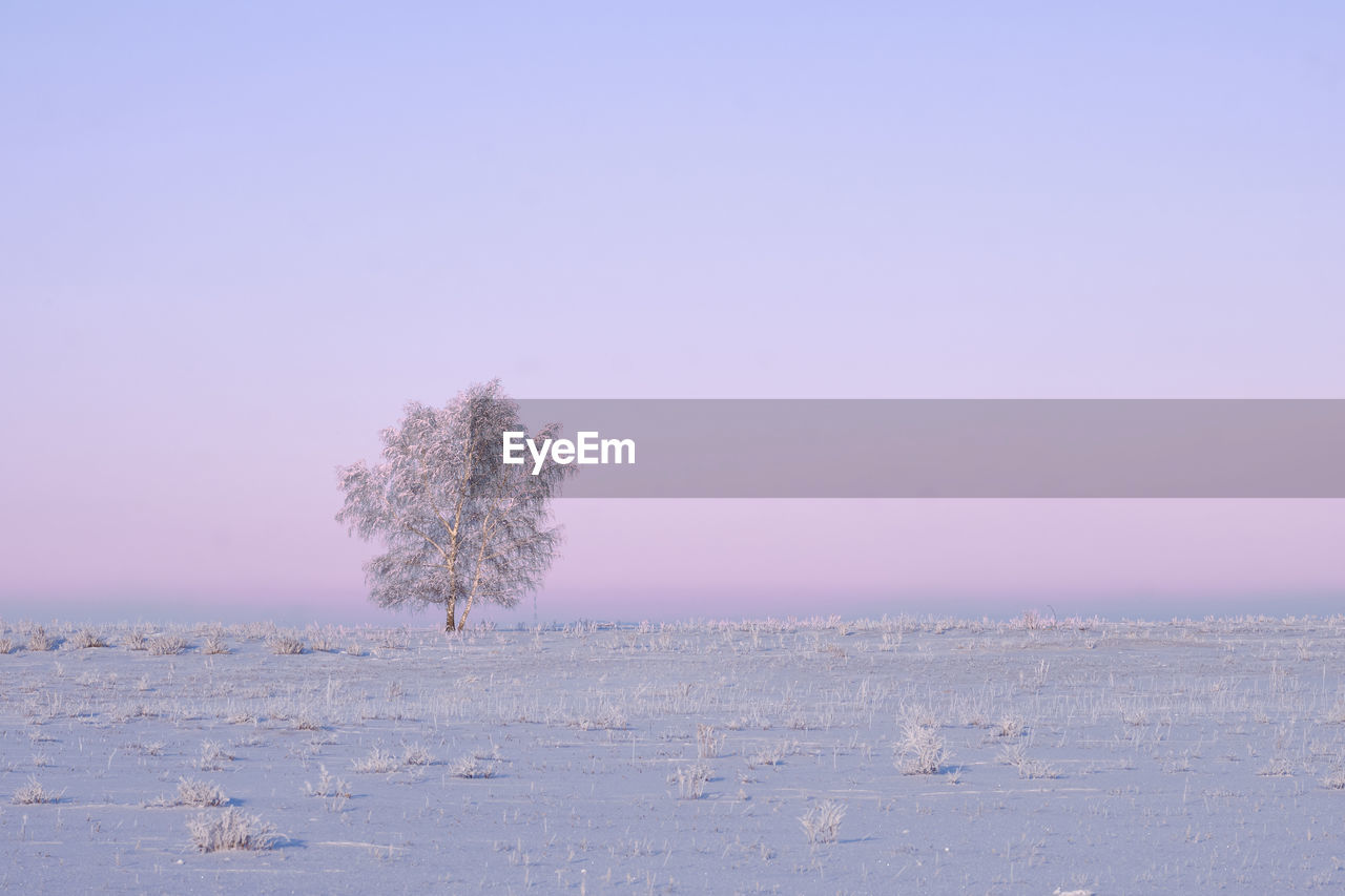 scenic view of sea against clear sky during sunset