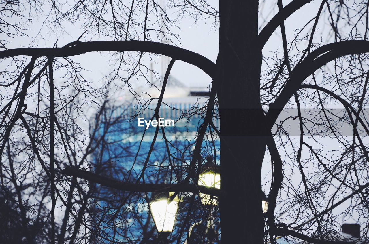 Low angle view of silhouette bare tree by building against sky at dusk