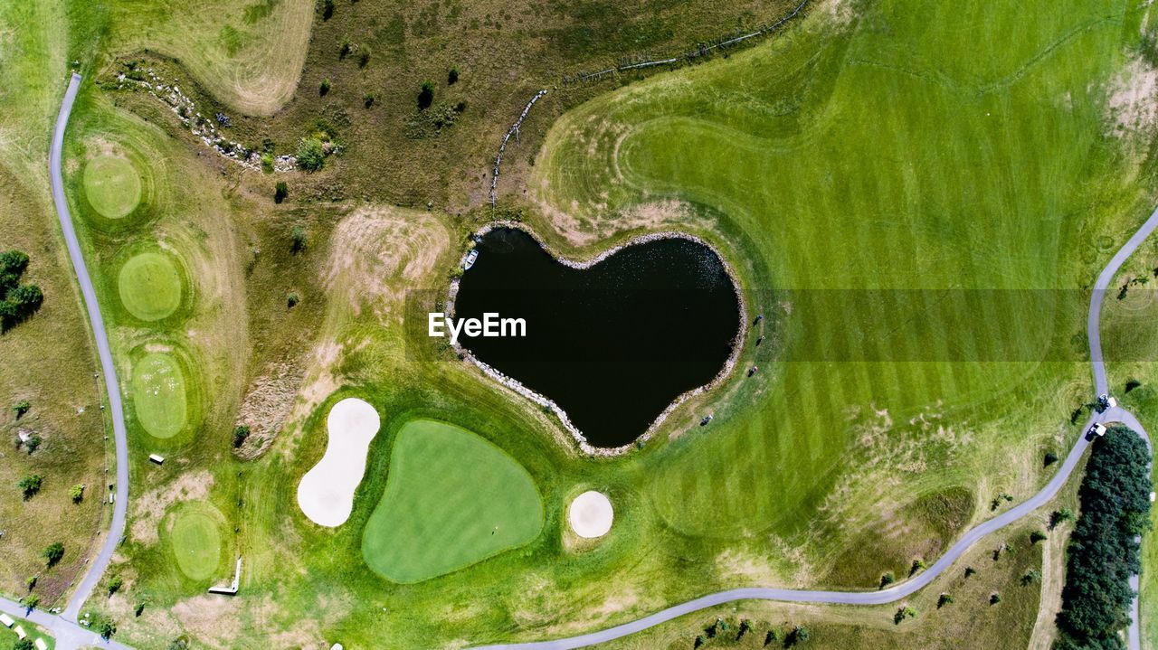 CLOSE-UP VIEW OF TREE