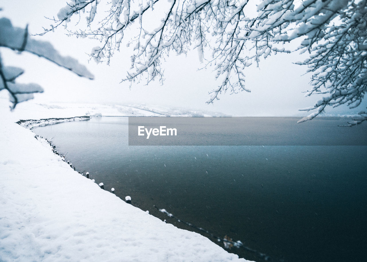 CLOSE-UP OF SNOW COVERED LANDSCAPE